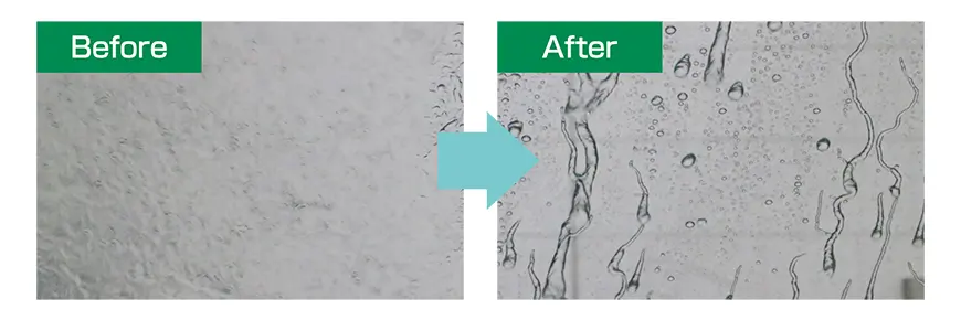 ウインドウ撥水BeforeAfter