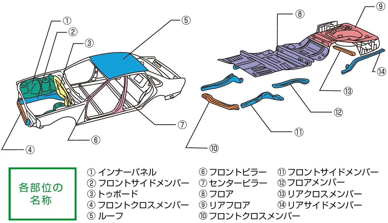 骨格部位とは？